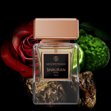 SHAURAN MESOPOTAMIA  EDP 50ML