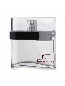 SALVATORE FERRAGAMO SILVER...