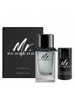 BURBERRY MR BURBERRY EDT...